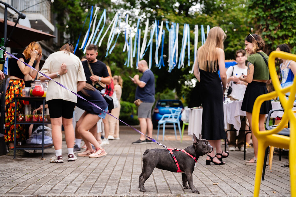 PIVDEN fest в Миколаєві